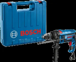 GSB 16 RE Professional Impact Drill