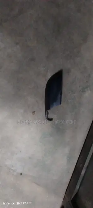 Clean Ex Japan Side Mirror Cover Available