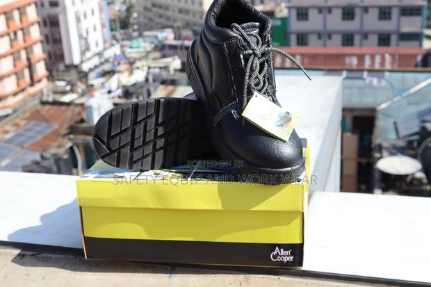 Allen Cooper Ankle Boots - main view