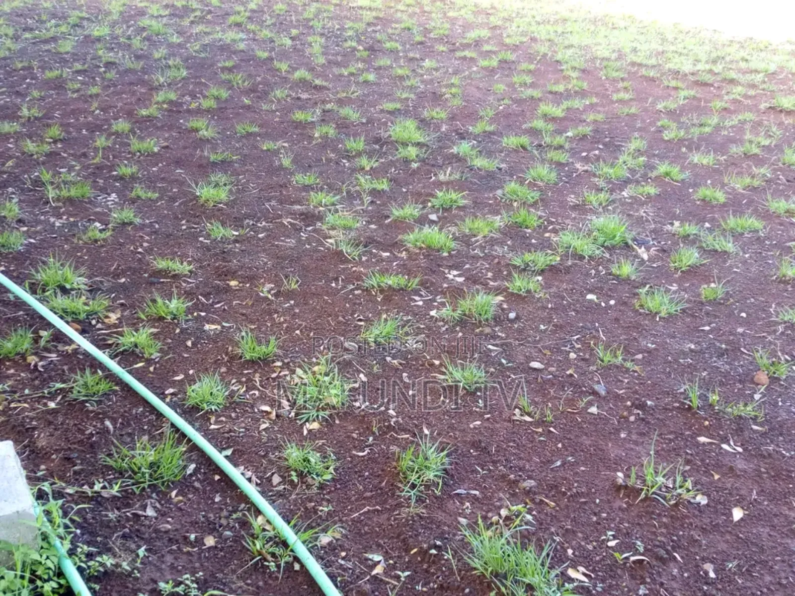 Cabro Installation and Landscaping