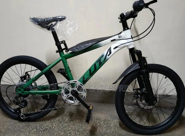 Size 22 Bicycle - main view