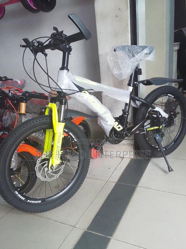 Kids to Teenager Size 20 Bike With Gear