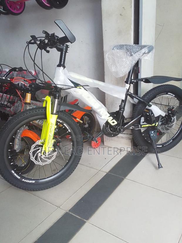 Size 20 Bike Top Quality With Gears