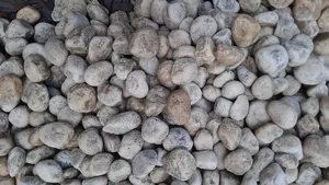 Riverbed Stones to Decorate Your Compound