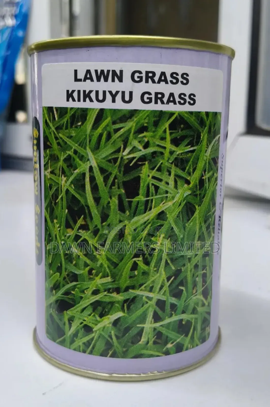 Kikuyu Grass 100gms
