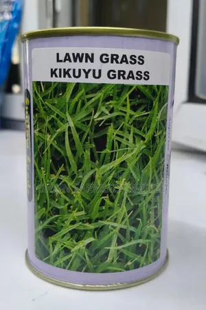 Kikuyu Grass 100gms