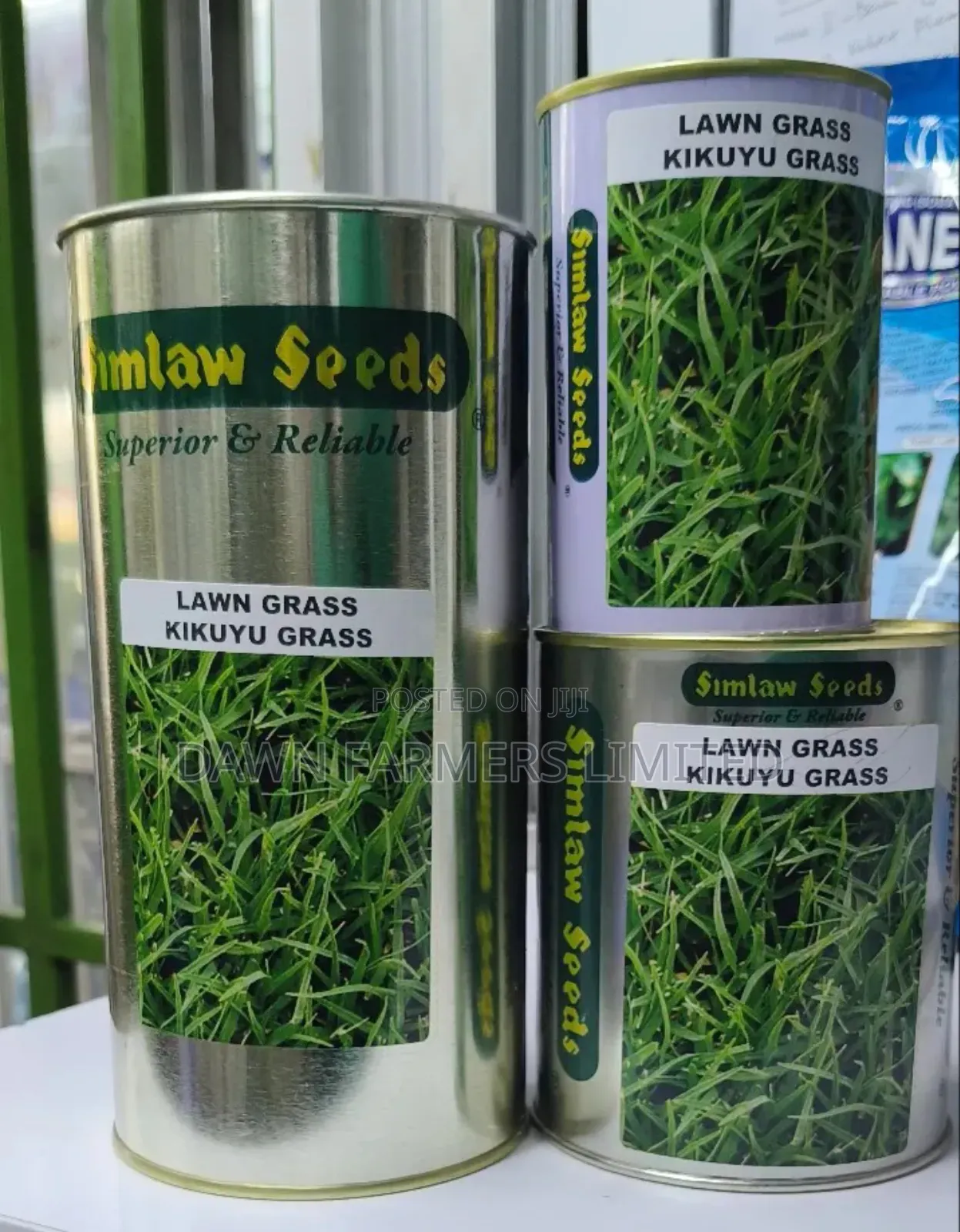 Kikuyu Grass 100gms