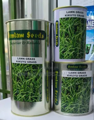 Kikuyu Grass 100gms