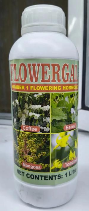 FLOWERGAL (Flowering Hormone 1lt) - main view