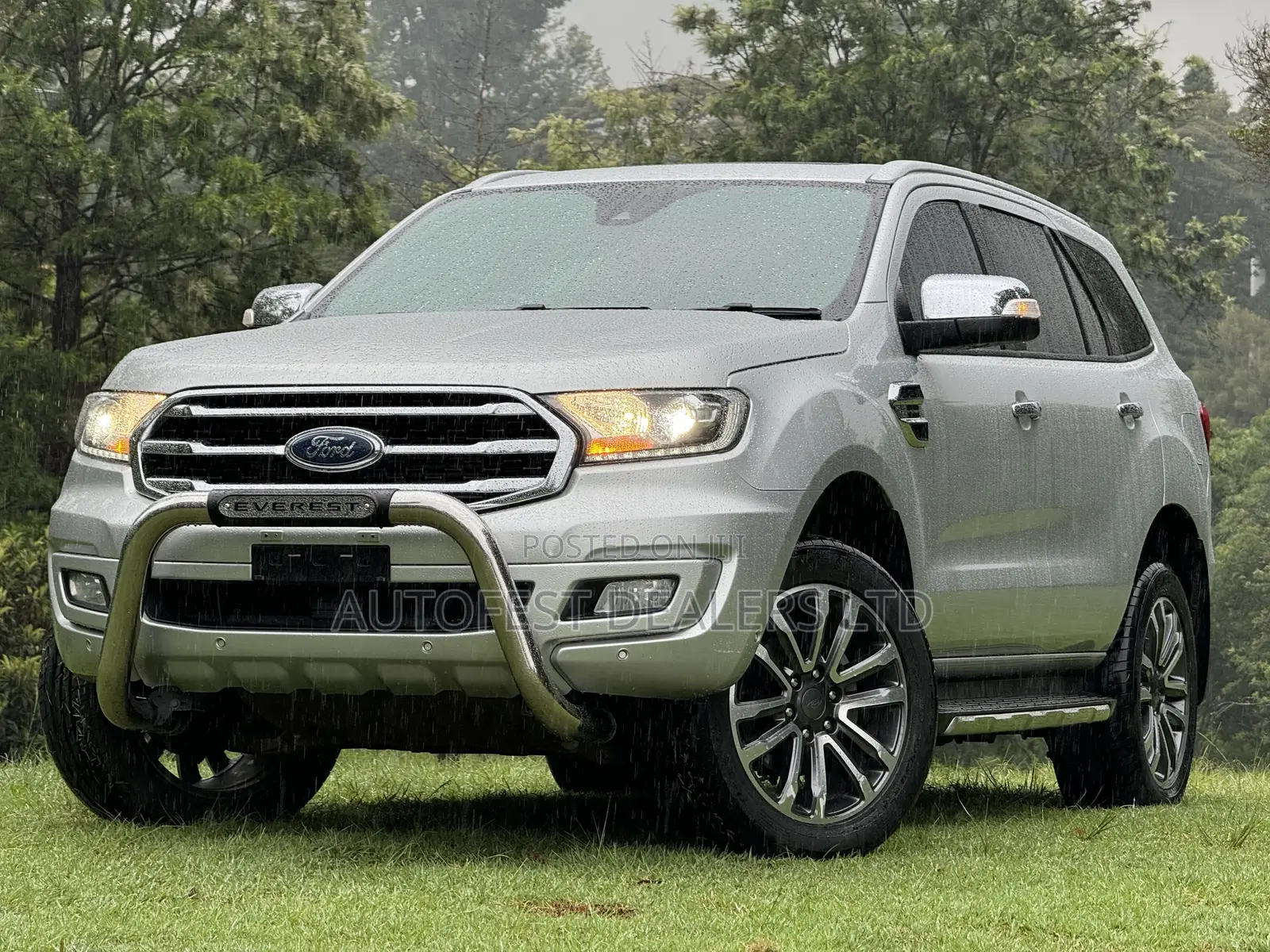Ford Everest 2020 Silver