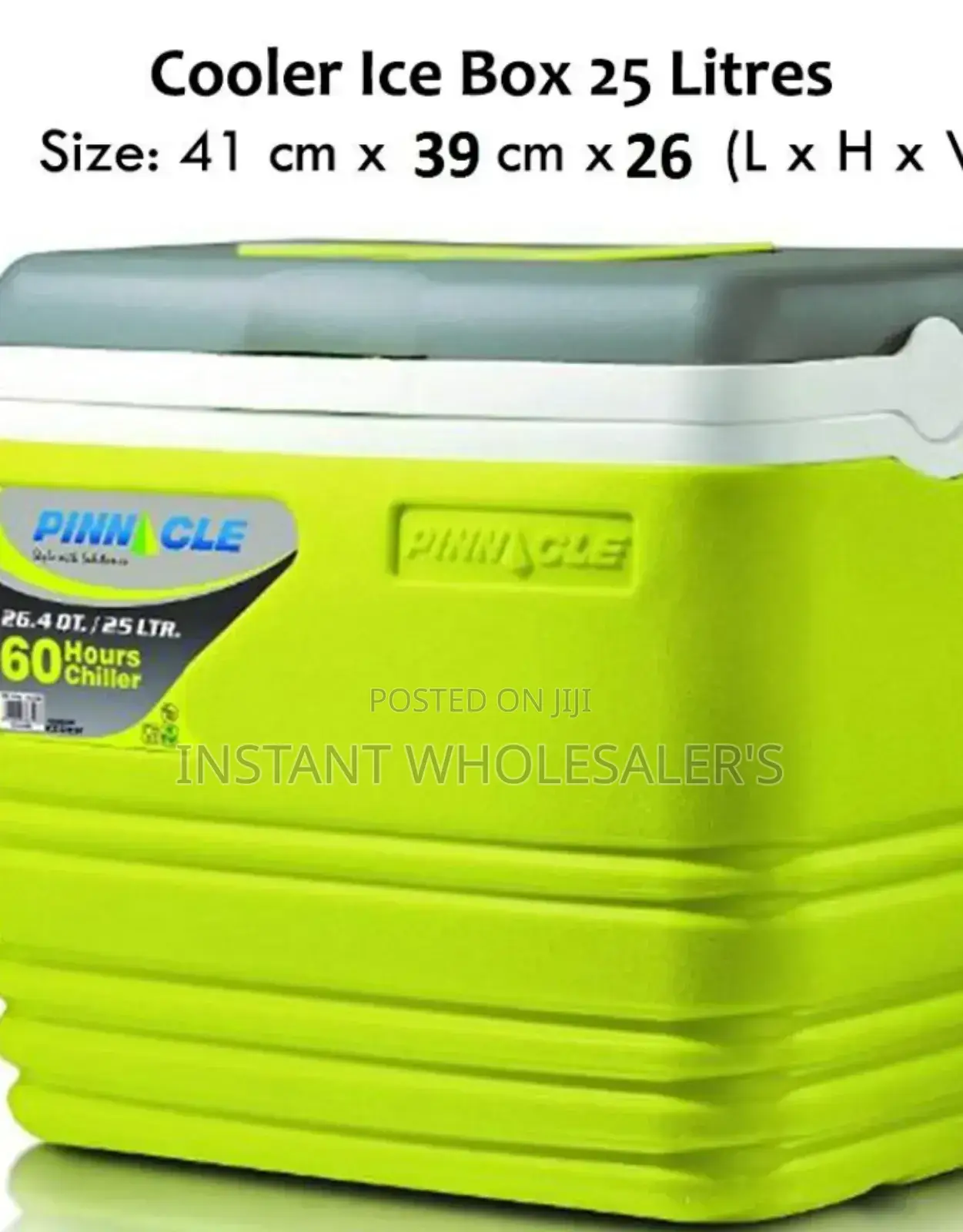 Certified 25 Litres Cooler Box
