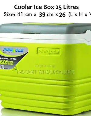 Certified 25 Litres Cooler Box