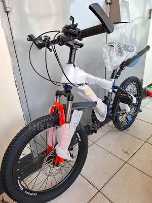 Brand New Teenager to Kids Geared Bike