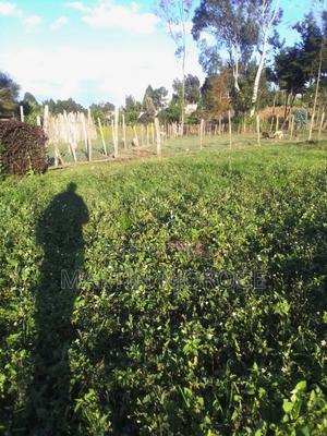 1 Acre Ngarariga - thumbnail 2