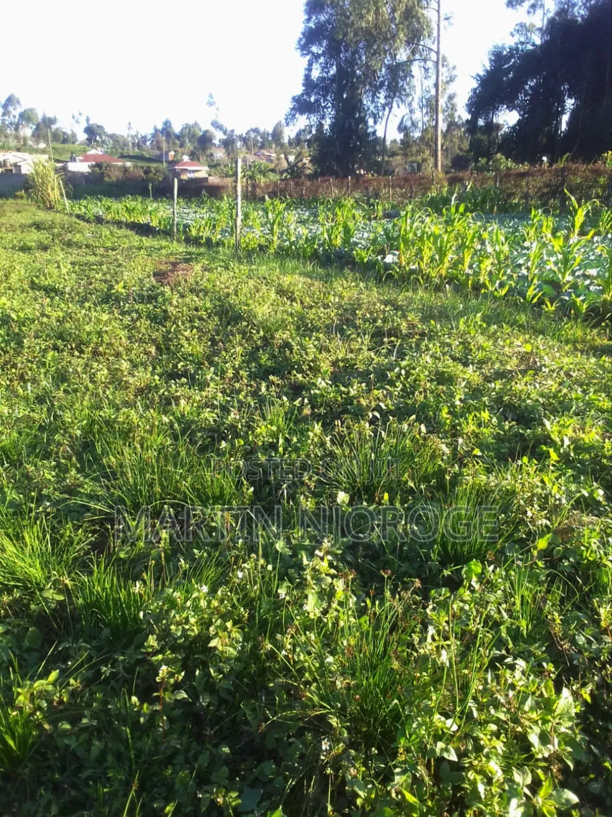 1 Acre Ngarariga