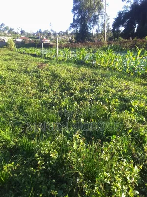 1 Acre Ngarariga