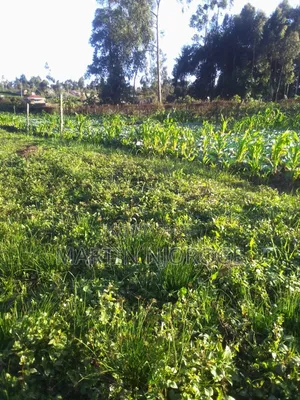 1 Acre Ngarariga