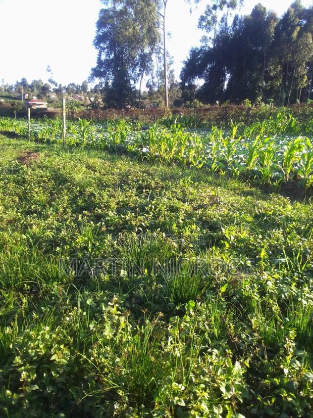 1 Acre Ngarariga - thumbnail 4