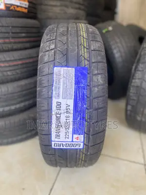225/55r16 Goddard