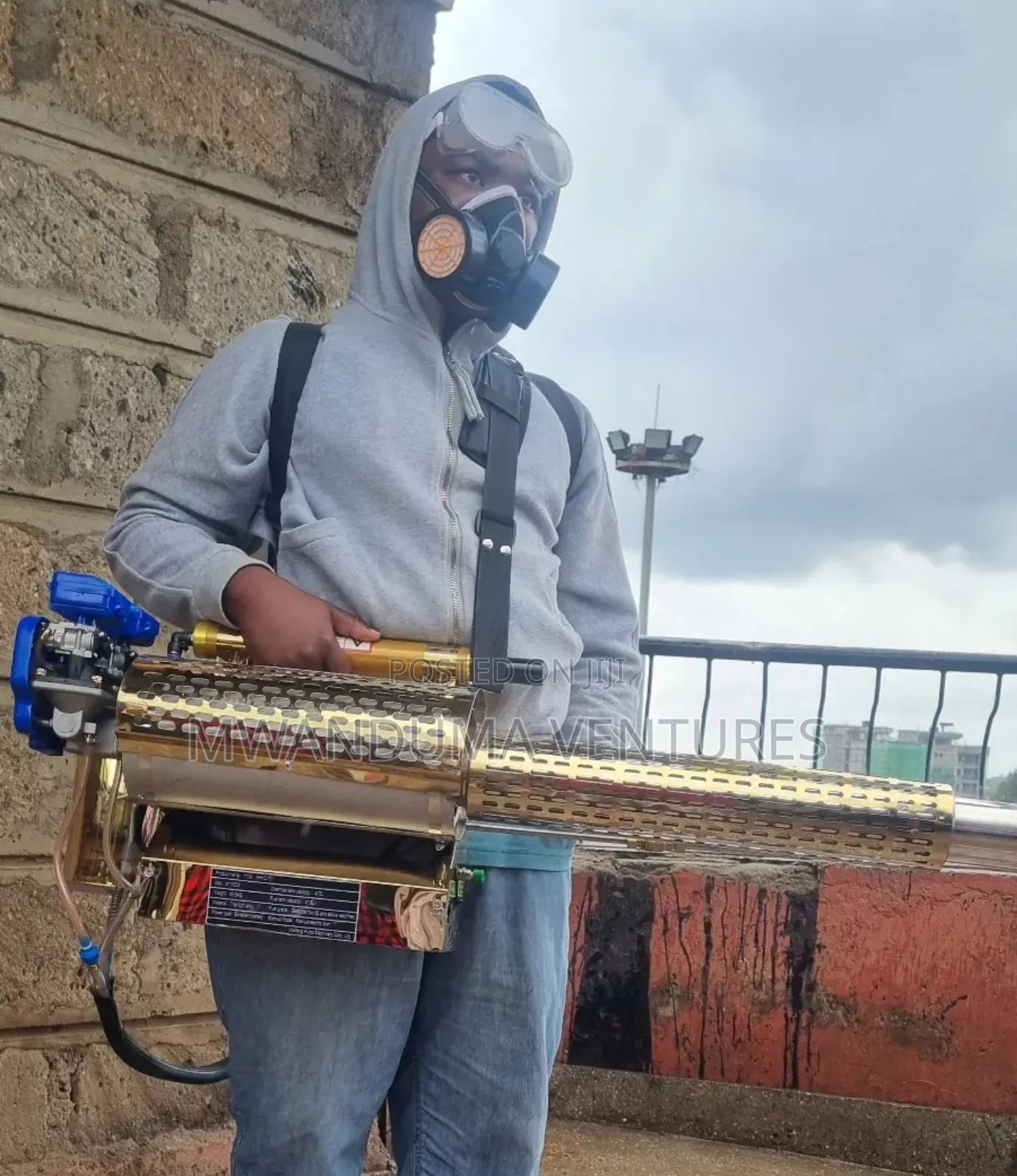 Pest Insect Control Services