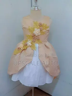 Fancy Girls Dress