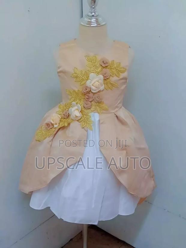 Fancy Girls Dress