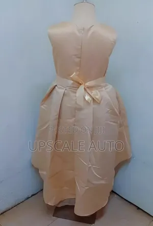 Fancy Girls Dress