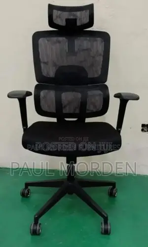 Orthopedic Ergonomic Chair Office Chair