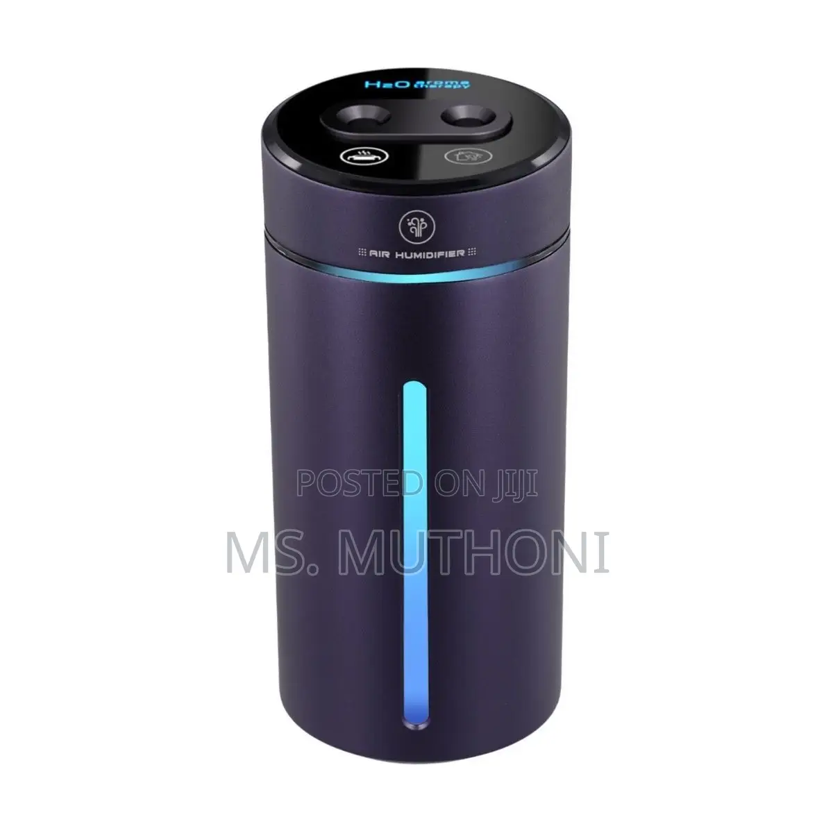 Vehicle Air Humidifier / Mist Sprayer
