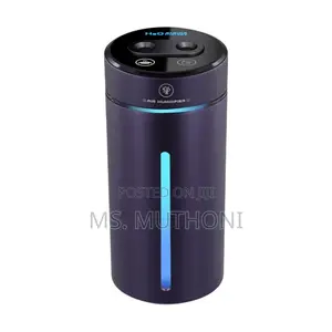 Vehicle Air Humidifier / Mist Sprayer