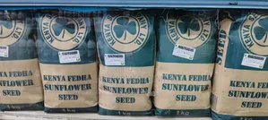 Sunflower Kenya FEDHA 1kg