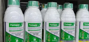 Pentagon 1lt
