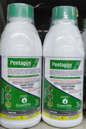 Pentagon 1lt