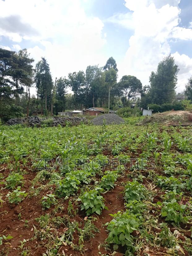 Half Acre Kerarapon - main view