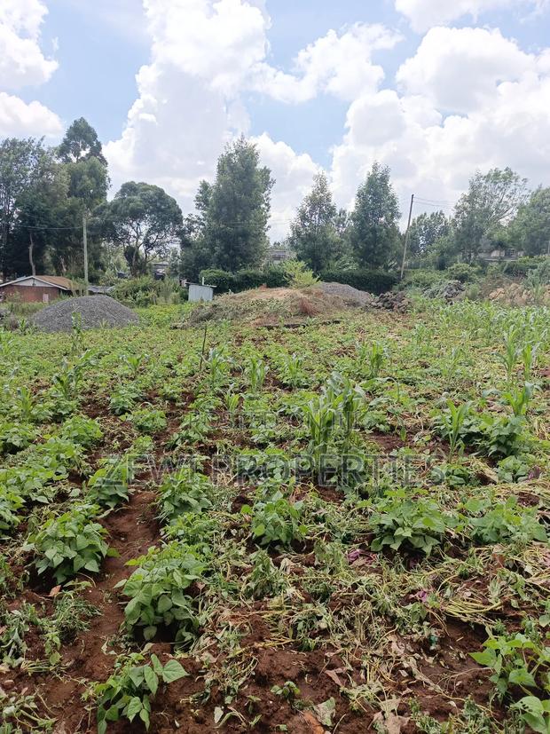 Half Acre Kerarapon - thumbnail 2