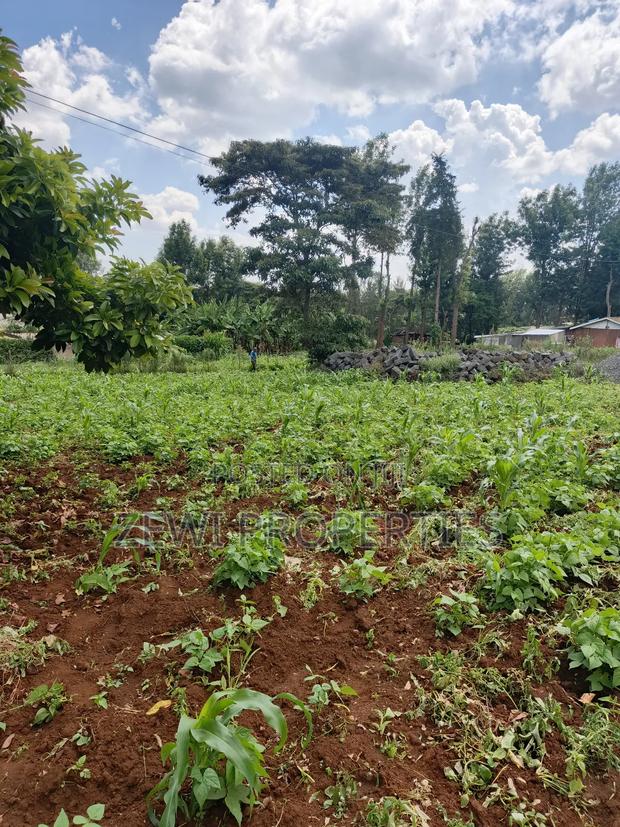 Half Acre Kerarapon - thumbnail 3