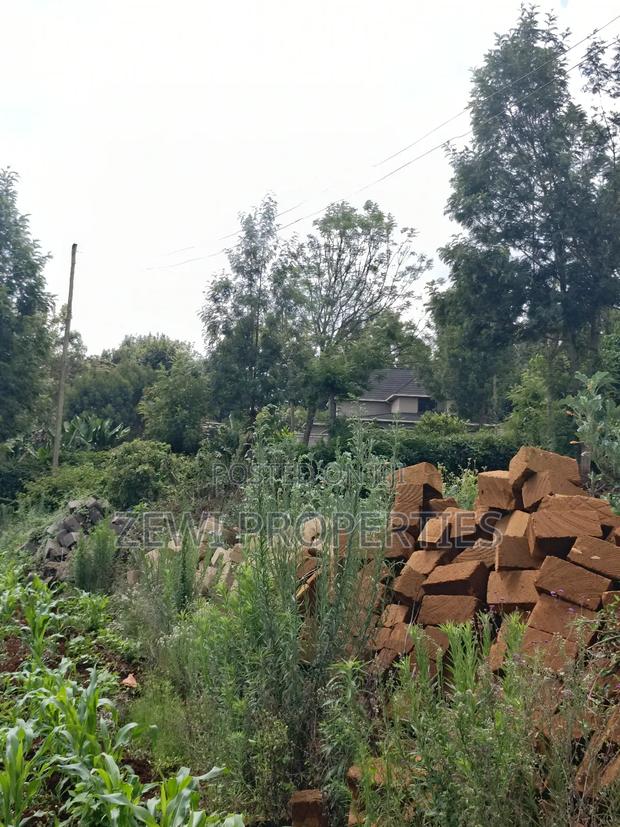 Half Acre Kerarapon - thumbnail 5