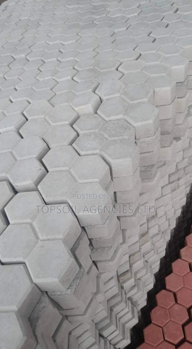 Cabro Paving Blocks 60mm