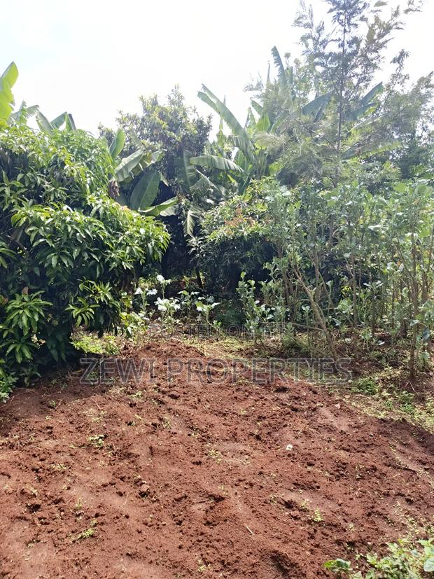 Quartet Kerarapon - thumbnail 6