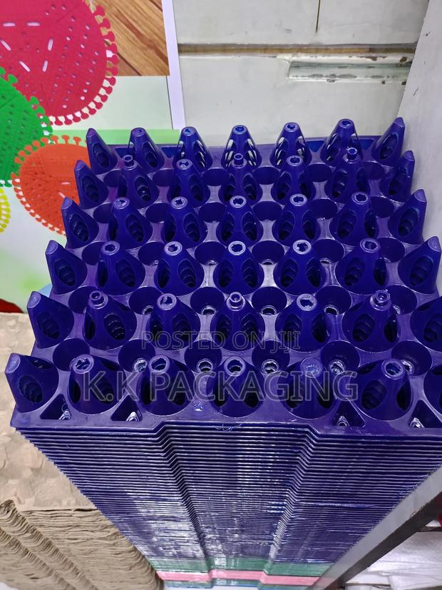 30 Holes Plastic Egg Trays - thumbnail 3