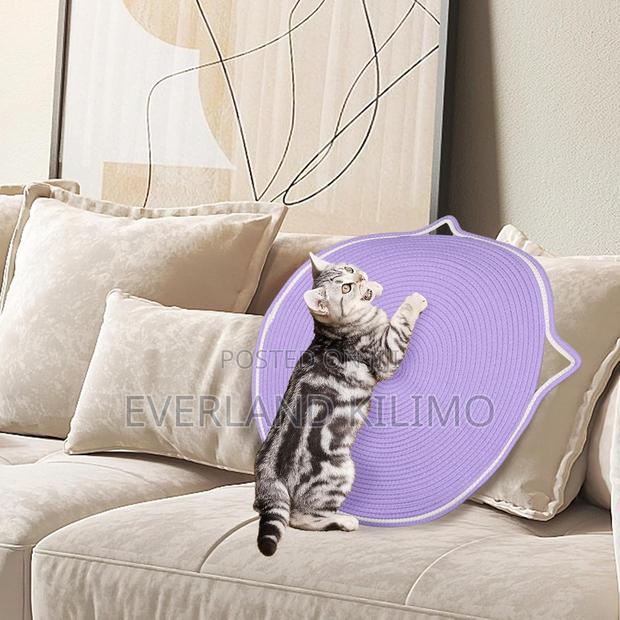 Scratch Mat for Cats - main view