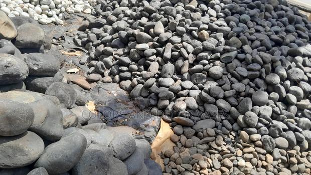 Decor Your Plants Surroundings - main view