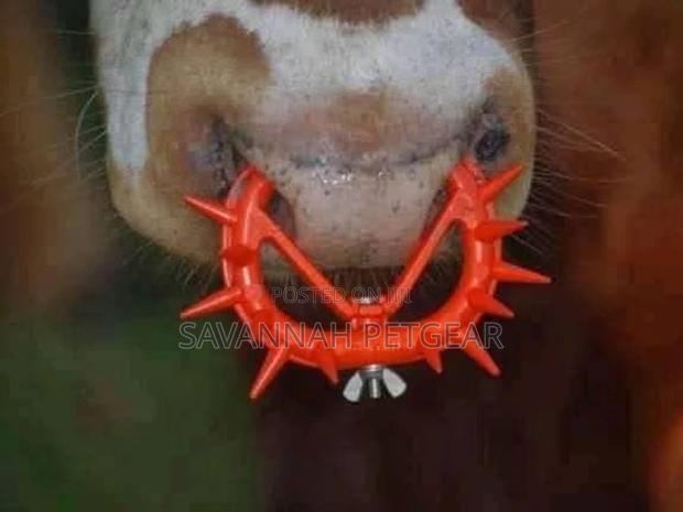 10PCS Cow Nose Thorn Calf Weaner Plastic Nose Clip