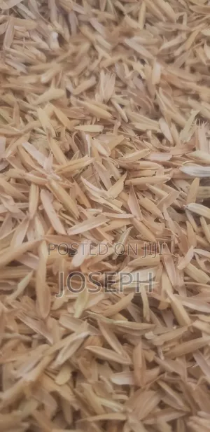 Rice Husks for Brooding, Bedding, Fertilizer or Mushroom Farming