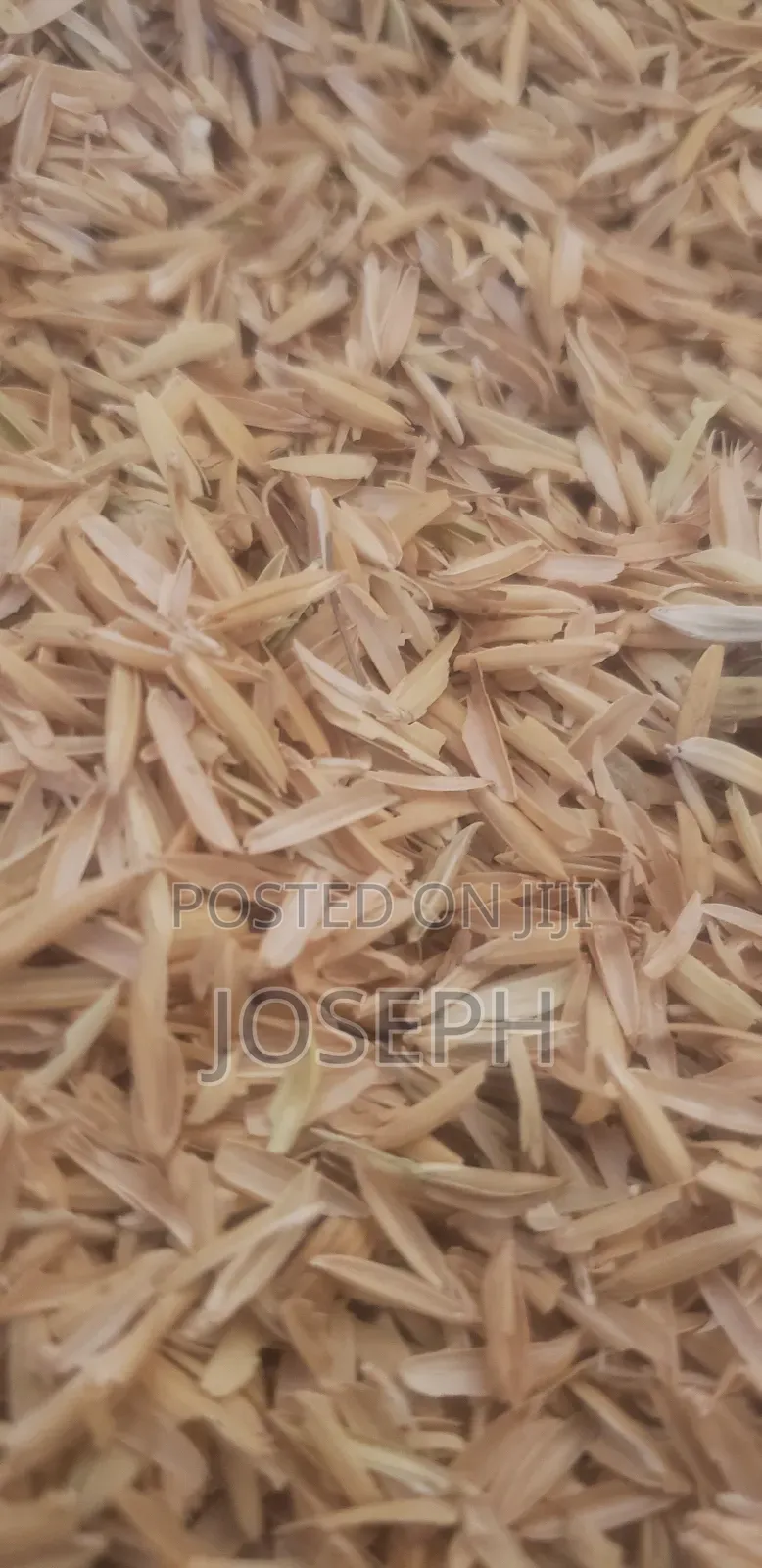 Rice Husks for Brooding, Bedding, Fertilizer or Mushroom Farming