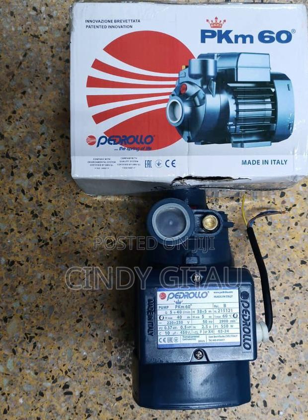 Powerful Pedrollo Pkm60 0.5hp Water Pump
