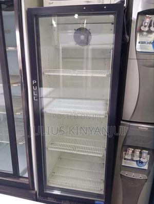 Display Fridge Fridgorex - main view
