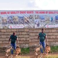 MACHARIA WA HAY logo