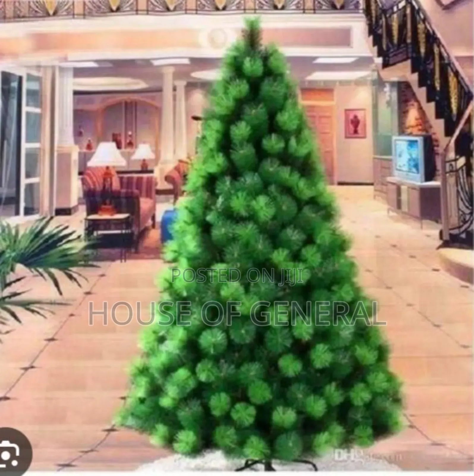 *Christmas Trees*
*Pine Shape *Pine Christmas Tree