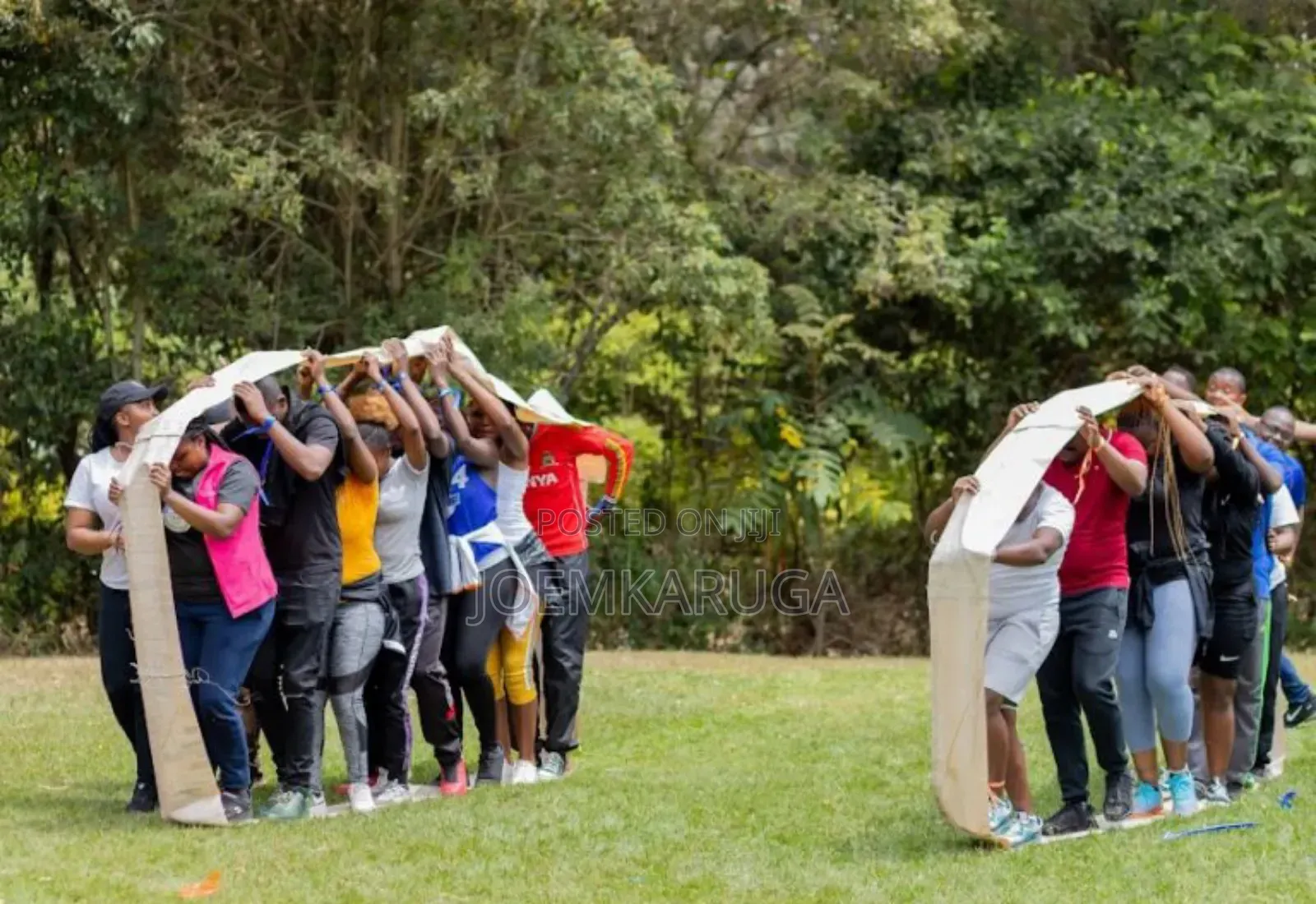 Team Building Games and Counselling Services